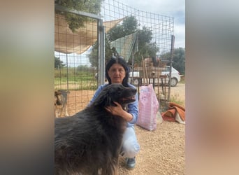 Mania - flauschig, schwarz und einfach klasse!