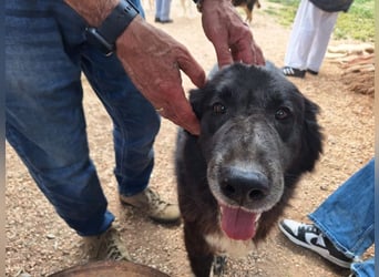 Mania - flauschig, schwarz und einfach klasse!