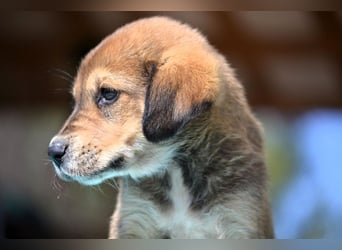 Lacta - von der Straße ins Glück?