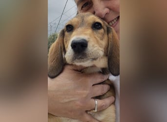 Lacta - von der Straße ins Glück?