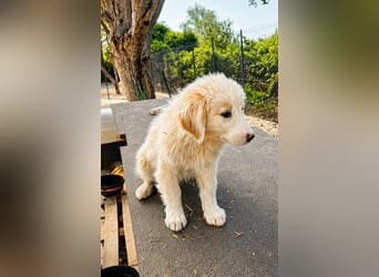 Emy ist bereit für ihr großes Abenteuer