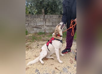 Rea Marie - bereit für Abenteuer