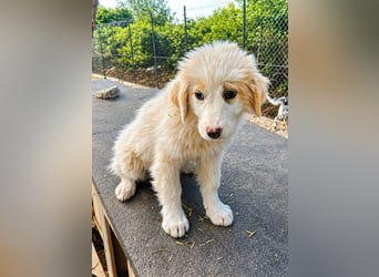 Emy ist bereit für ihr großes Abenteuer