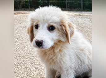 Emy ist bereit für ihr großes Abenteuer