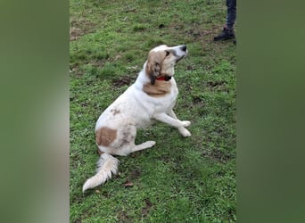 Rea Marie - bereit für Abenteuer