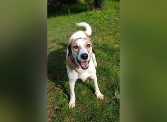 Rea Marie - bereit für Abenteuer