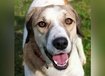 Rea Marie - bereit für Abenteuer