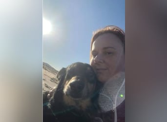 Niki - auch Patenschaften gesucht