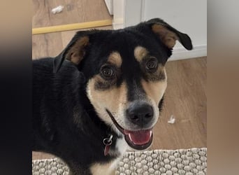 Aarne sucht erfahrene Menschen