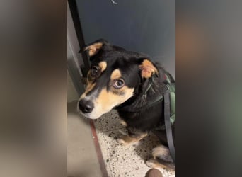 Aarne sucht erfahrene Menschen