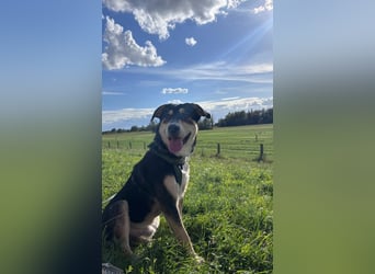 Aarne braucht Ruhe und Struktur