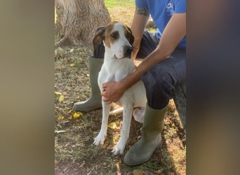 Pluto sucht ein zu Hause