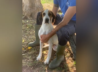 Pluto sucht ein zu Hause