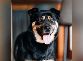 Unkomplizierte Prada sucht ihre Familie