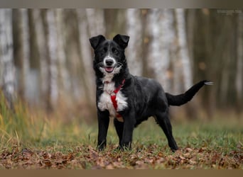 Lebensfrohe Marfa sucht ihre Menschen