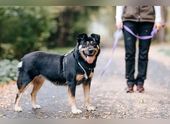 Unkomplizierte Prada sucht ihre Familie