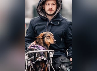 Besondere Miranda sucht ihre Menschen