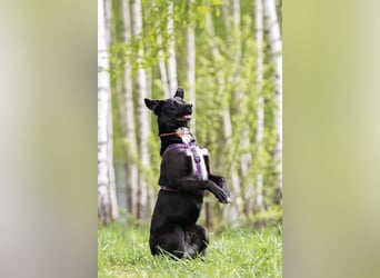 Sensible Nora sucht warmes Körbchen