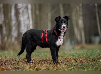 Lebensfrohe Marfa sucht ihre Menschen