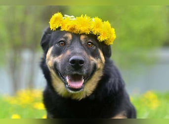 Unkomplizierte Prada sucht ihre Familie