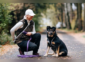 Unkomplizierte Prada sucht ihre Familie