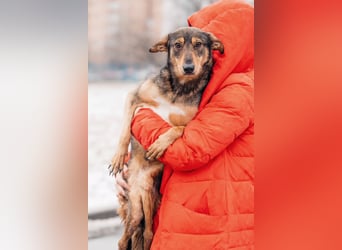 Besondere Miranda sucht ihre Familie