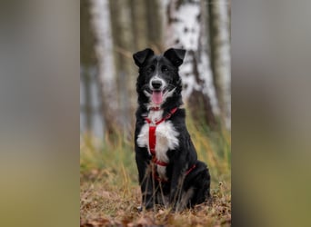 Lebensfrohe Marfa sucht ihre Menschen