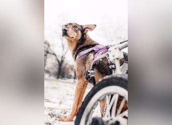 Besondere Miranda sucht ihre Familie