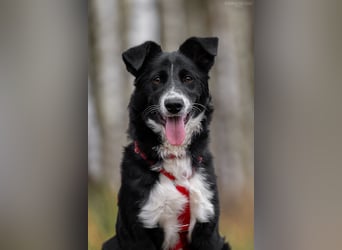 Lebensfrohe Marfa sucht ihre Menschen