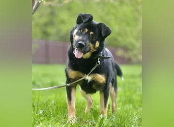 Unkomplizierte Prada sucht ihre Familie