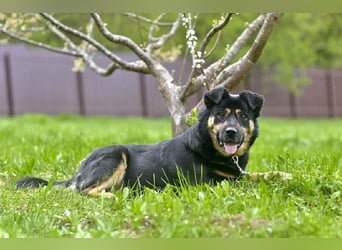 Unkomplizierte Prada sucht ihre Familie