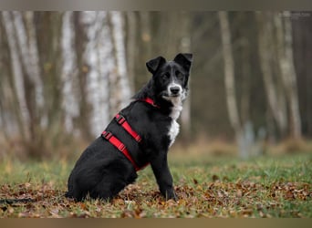 Lebensfrohe Marfa sucht ihre Menschen