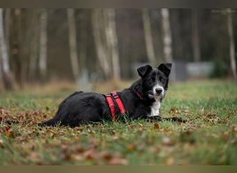 Lebensfrohe Marfa sucht ihre Menschen