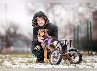 Besondere Miranda sucht ihre Menschen