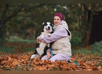 Lebensfroher Chico sucht seine Familie