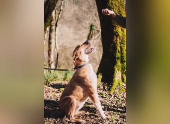 Neugieriger Süleyman sucht seine Familie