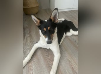 Simona - wo darf ich Zuhause sein?