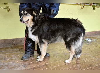 Oliverio - ohne Anklage hinter Gittern