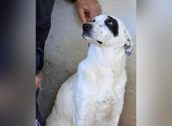 Arunny - aller guten Dinge sind drei