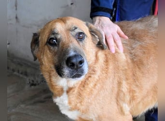 Kemp - Runder Rundum-Schatz