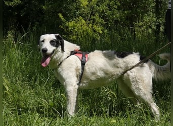 Marni - Dieses Herz hat schon zu lange gewartet