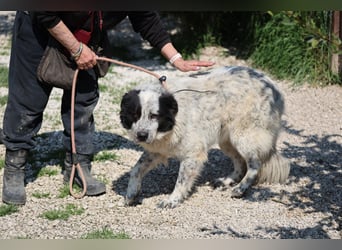 Giulietta - manche Seelen brauchen einfach etwas länger