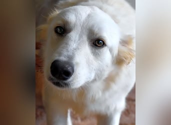 Sadye - Liebevolle Zuwendung....