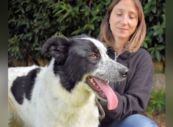 Jasmine - Wer nicht neugierig ist, erfährt nichts!