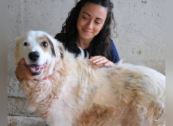 Bailoch - Zeig mir doch bitte...