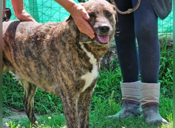 Ludwig - Nur Mädchen erlaubt