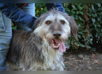 Minnie - Nach 7 Jahren Unglück endlich 7 Jahre Glück?