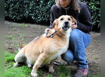 Kairo - möchte einfach nur genießen