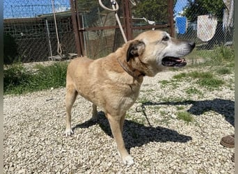 Plugh - Opa Plugh möchte die Welt - und Sie! kennenlernen