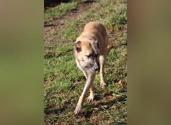Life - Life will mehr vom Leben - und das zeigt er deutlich!
